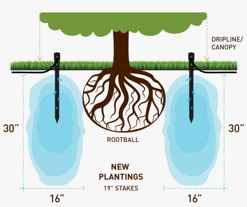 Some Customers Have Even Experienced More Fruit Yield, - Mouse, transparent png download