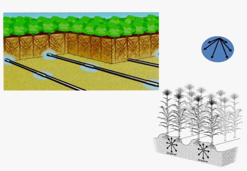 Underground Drip Irrigation Systems Subsurface Drip Irrigation PNG Image Transparent PNG