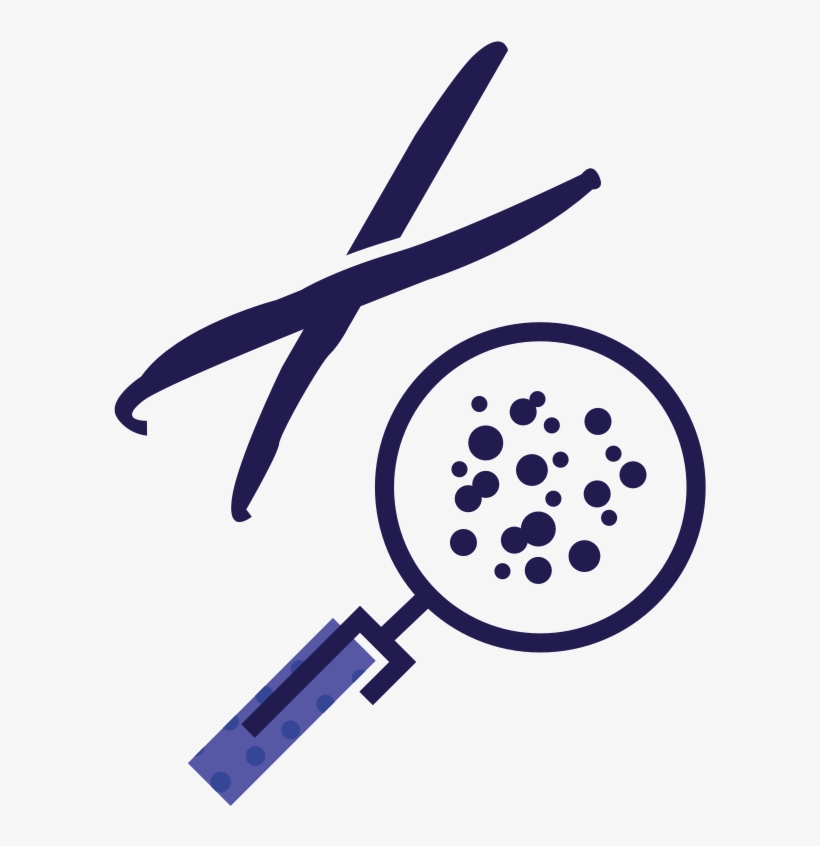 Seed - Circle, transparent png download