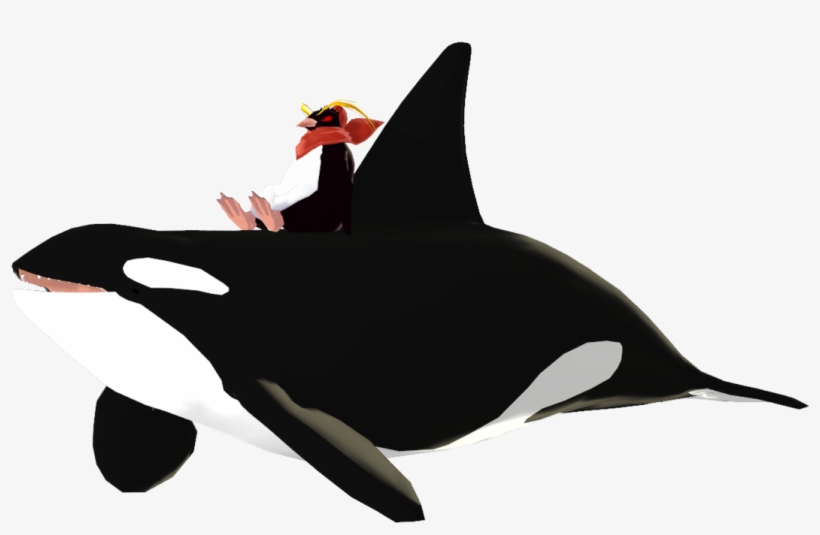 Wow Animal Planet - Killer Whale, transparent png download