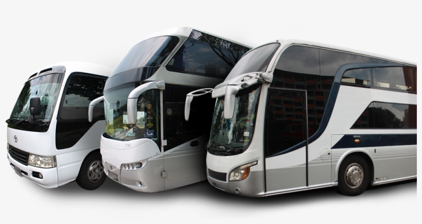 Transport Chartering Services - Tour Bus Service, transparent png download