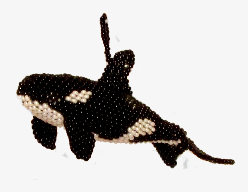 Loading Zoom - Killer Whale, transparent png download