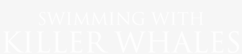 Swimming With Killer Whales - Wordpress Logo Png White, transparent png download