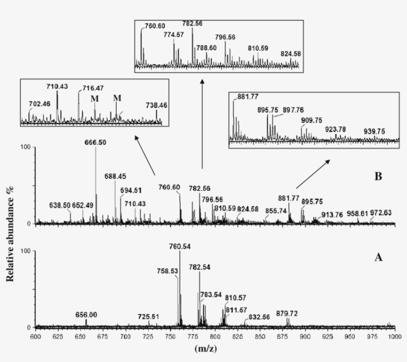 Maldi-tof Mass Spectra Of Different Egg Yolk Samples - Diagram, transparent png download