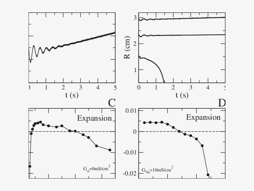 Radius Of The Scroll Ring Filament In The Course Of - Diagram, transparent png download