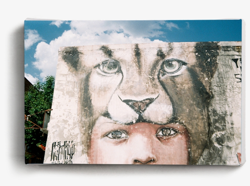 Canvas Print Lion Child - Still Life, transparent png download