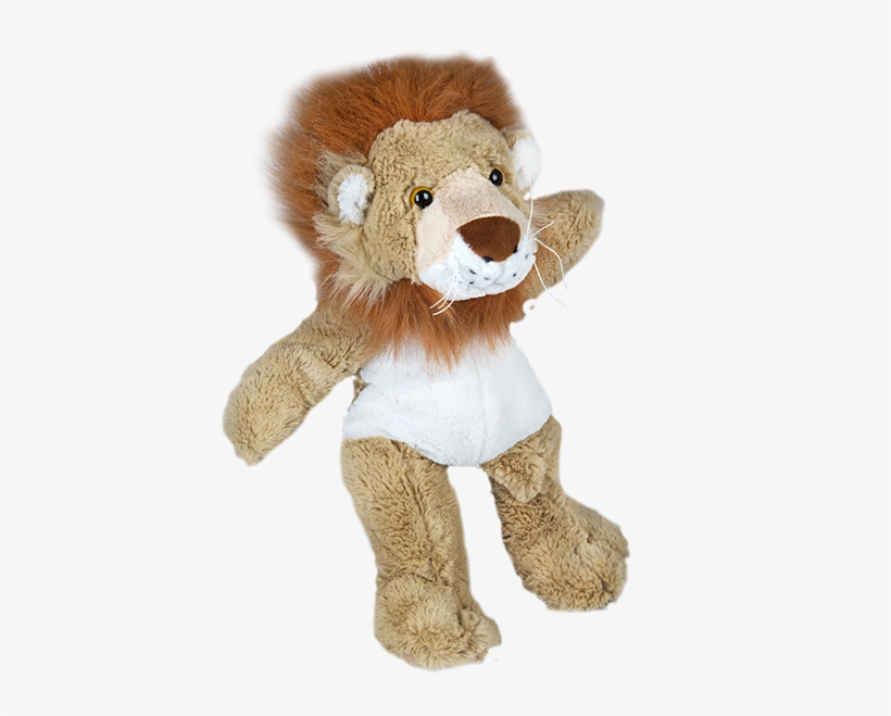 Dan D - Lion - Teddy Mountain 16, transparent png download