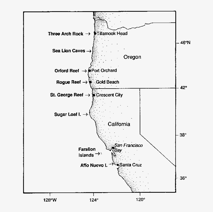 Steller Sea Lion Rookeries And Major Haulouts In Oregon - Diagram, transparent png download