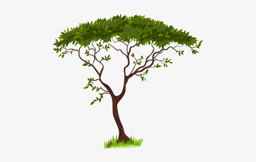 Tubes Arbres En Png - Savanna Clipart, transparent png download