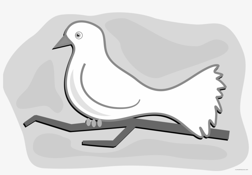 Image Freeuse Download Clipartblack Com Animal Free - Dove Sitting Clipart, transparent png download