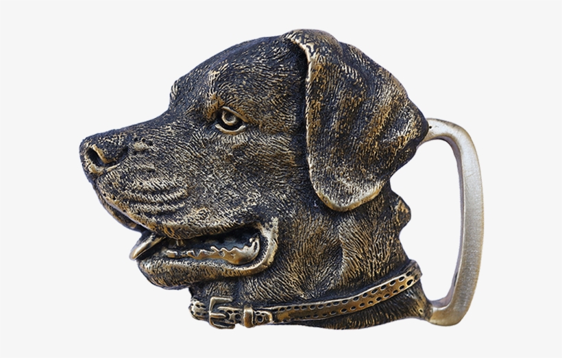 Rottweiler, transparent png download