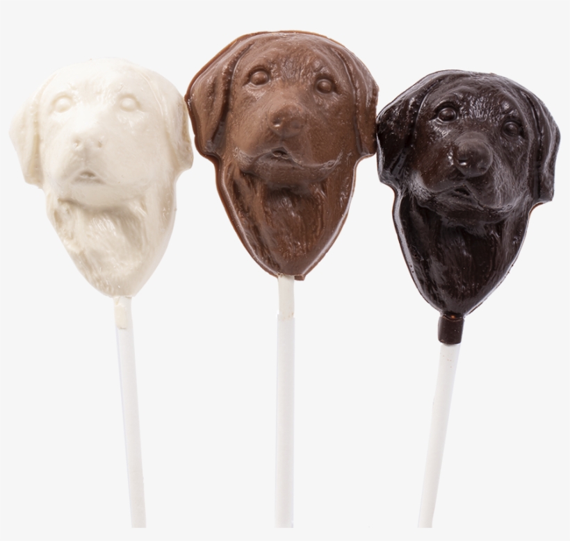 Labrador Retriever, transparent png download