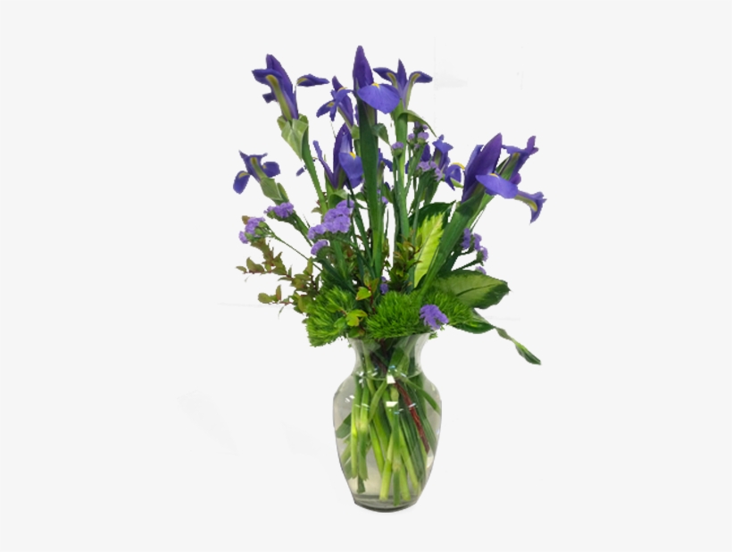 Intriguing Iris - Balloon Flower, transparent png download