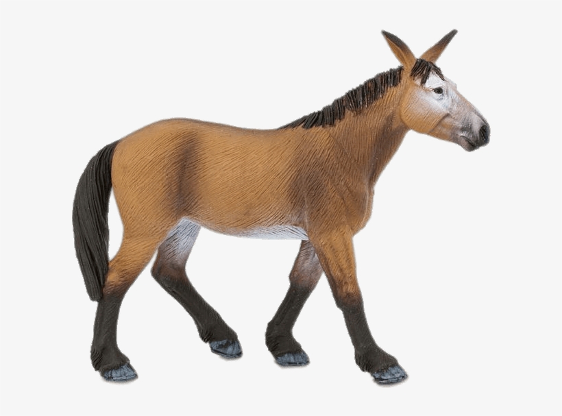 Animals - Mule Animal, transparent png download
