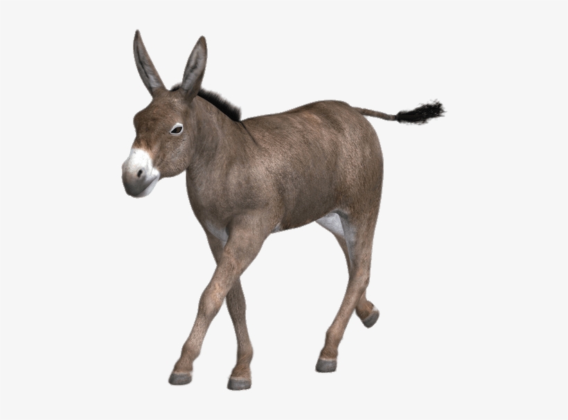 Animals - Mules - Mule, transparent png download