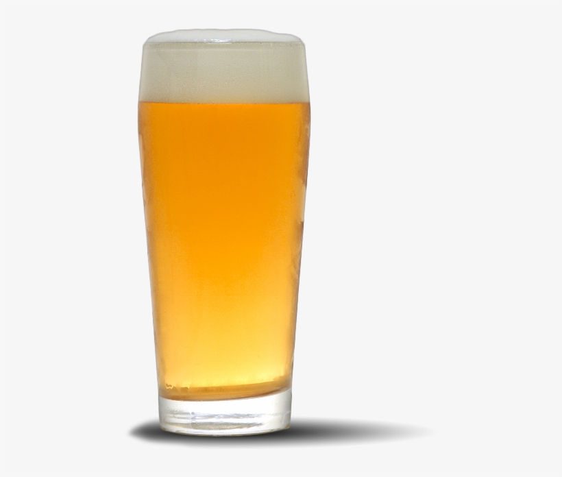 Allin Ipa Hefeweizen Png PNG Image Transparent PNG Free Download