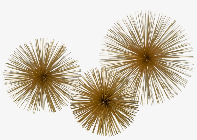 Pols Potten Gold Prickle - Prickle Brass Pols Potten, transparent png download