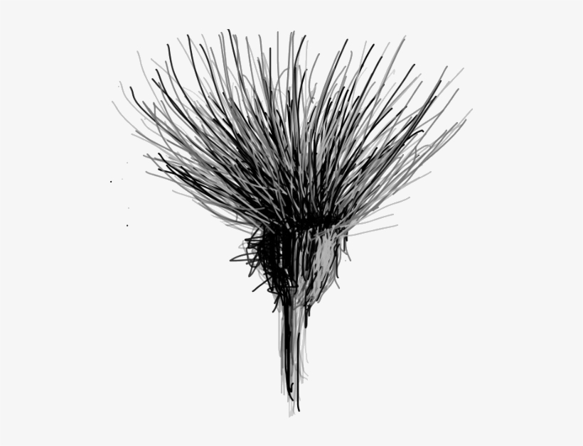 Bravetart Coaching, For Women With Potential Who Are - Sketch, transparent png download