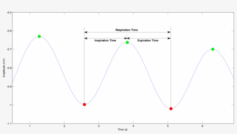 Inspiration And Expiration Time - Diagram, transparent png download