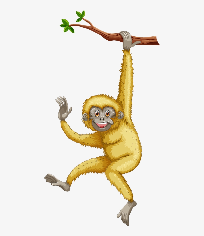 Cute Monkey With Bananas Png Picture - Macaque, transparent png download