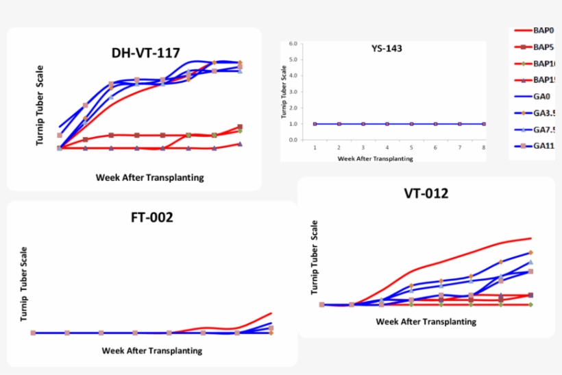 Effect Of Ga 3 And Bap Hormones On Turnip Thickness - Diagram, transparent png download
