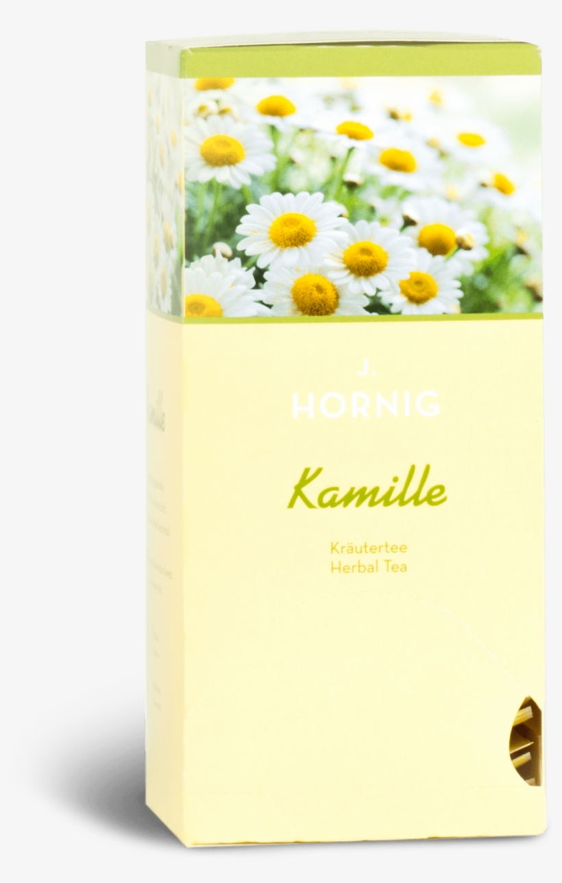 Chamomile - Chrysanths, transparent png download