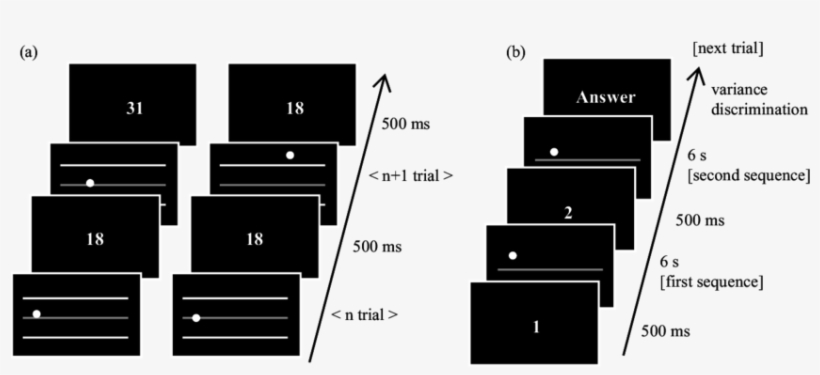 Schematic View Of Stimuli Used In The Stop Operation - Drawer, transparent png download