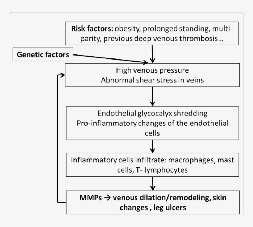 Simplified Diagram Of Pathophysiology Of Chronic Venous - Number, transparent png download