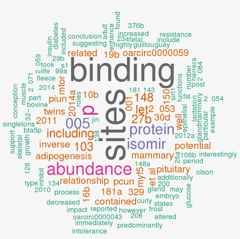 Stem Loop Sequence Oar Mir 30a - Bees Word Cloud, transparent png download