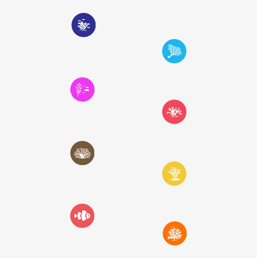 The Belize Marine Fund - Circle, transparent png download