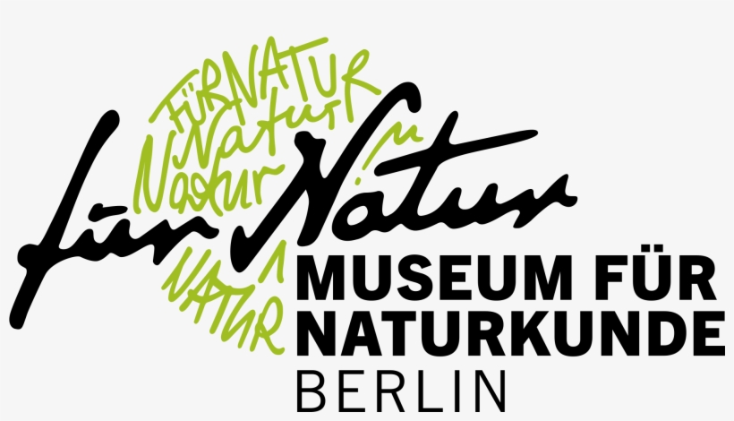 Barium On The Periodic Table, transparent png download