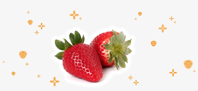 Toda Nuestra Filosofía Tiene Un Único Y Primordial - Strawberry, transparent png download