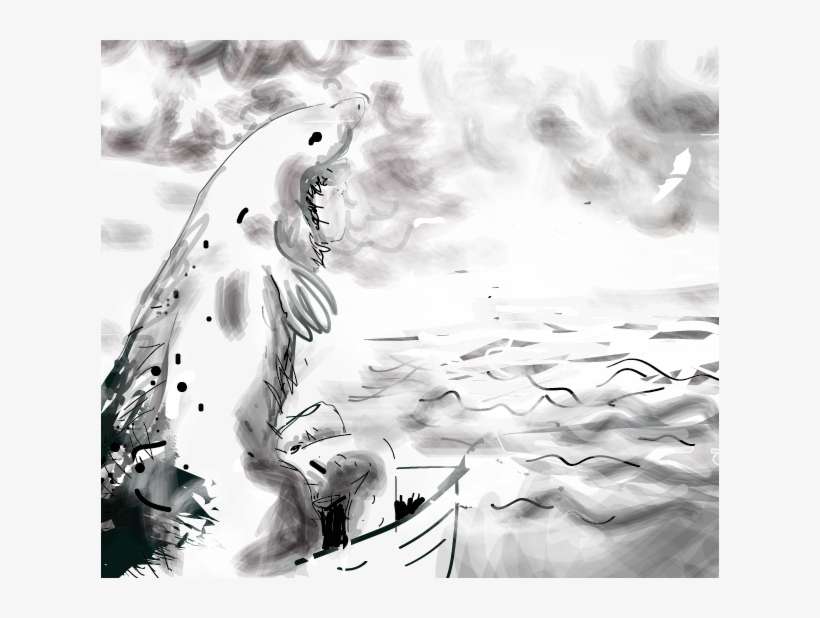 Burrard Inlet - Tyler Keevil - Steller Sea Lion, transparent png download