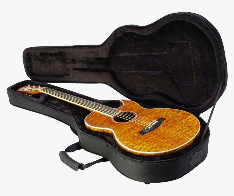 Skb Sc30 Thin Line - Skb Thinline Acoustic Case, transparent png download