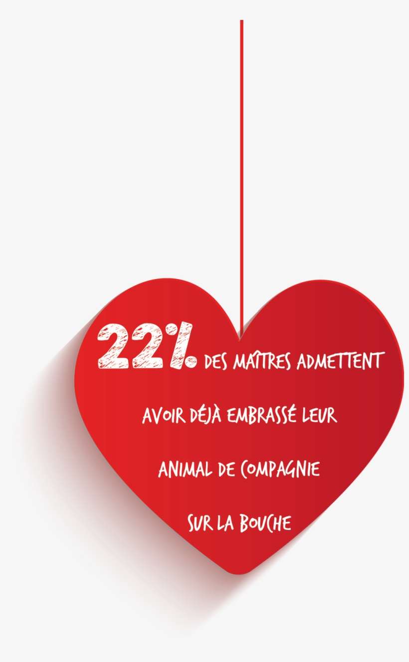 Le 14 Petit Coeur Assuropoil Saint Valentin - Saint Valentin Des Maitresse, transparent png download