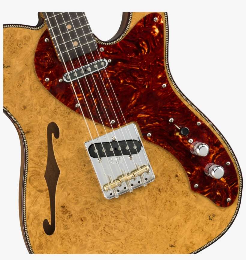 2018 Ltd Artisan Mpl Burl Thinline Tele - Thinline Pickguard Tortoise, transparent png download