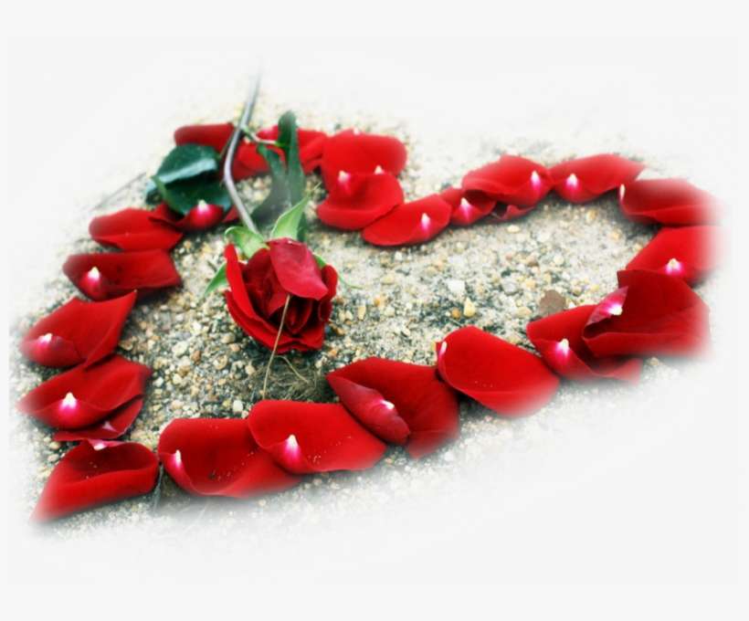 Tubes St Valentin Png - Love Images Of Beautiful Flowers, transparent png download