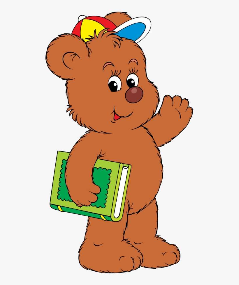 Bear, transparent png download