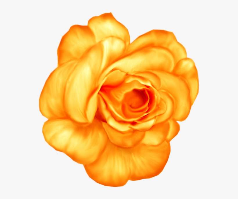Lavender Roses Png, transparent png download