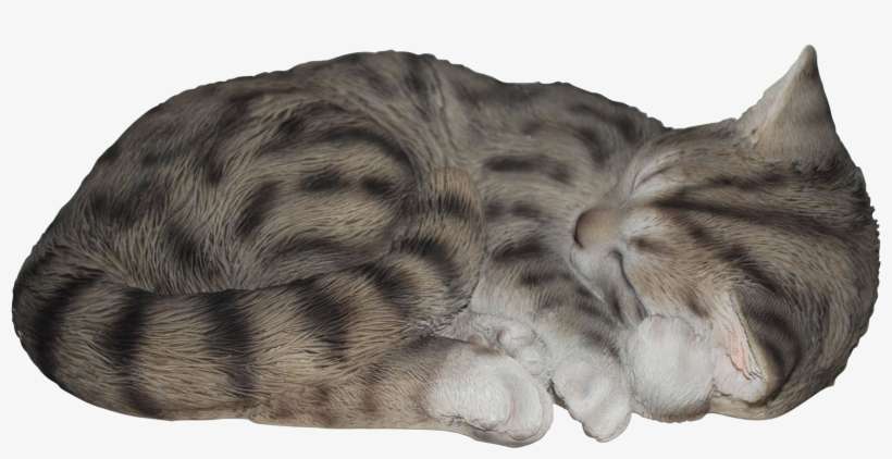 Sleeping Cat Tabby Real Life Resin Ornament By Vivid - Sleeping Cat Png, transparent png download