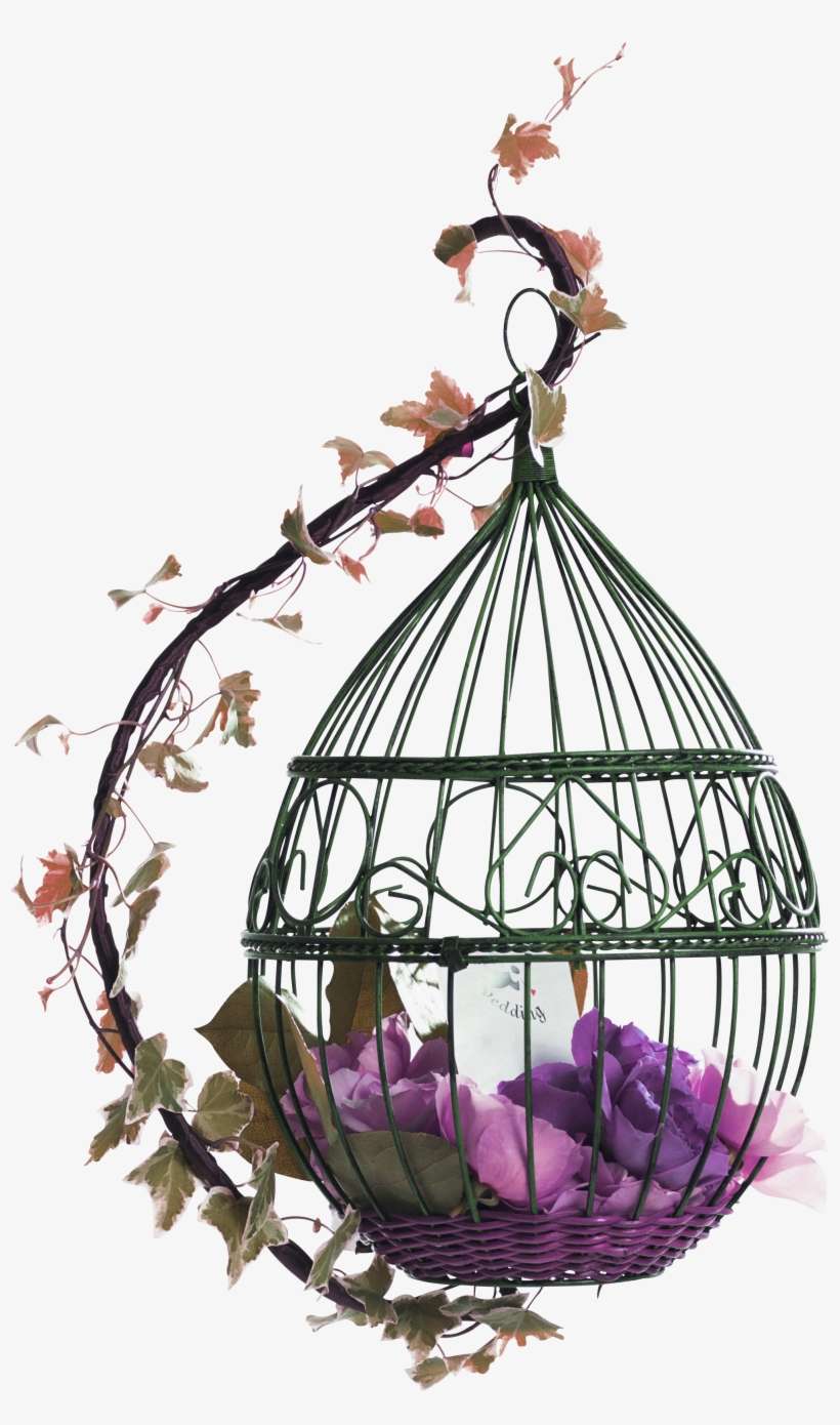 Birdcage Png Image Background - Birdcage Png, transparent png download