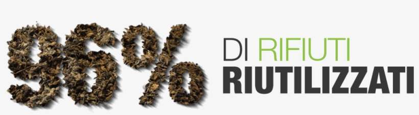 Baner 2 It - Pond Pine, transparent png download