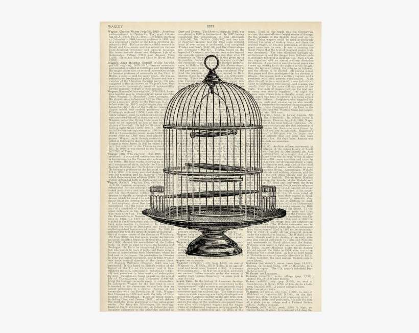 Round Birdcage - Bird In Cage, transparent png download