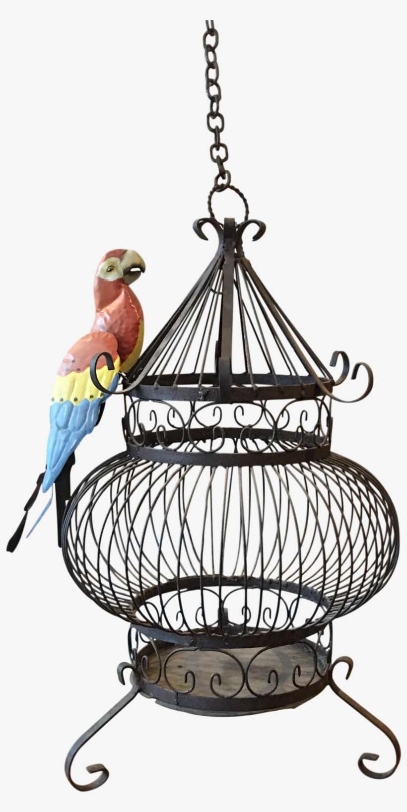 Drawn Birdcage Gothic - Macaw, transparent png download