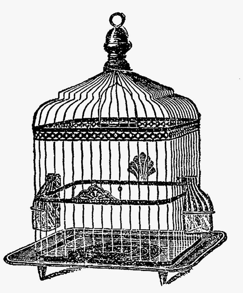 Png Library Stock Black And White Monochrome Photography - Clip Art, transparent png download