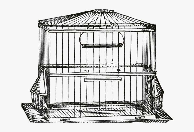 Drawn Birdcage Transparent - Transparent Bird Cage Png, transparent png download