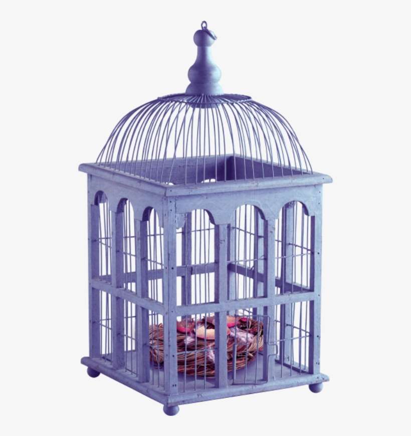 Фото, Автор Olinka - Birdcage, transparent png download