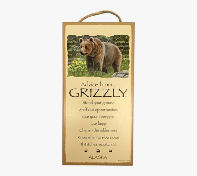 Advice From A Grizzly Wood Plaque - Grizzly Bear, transparent png download