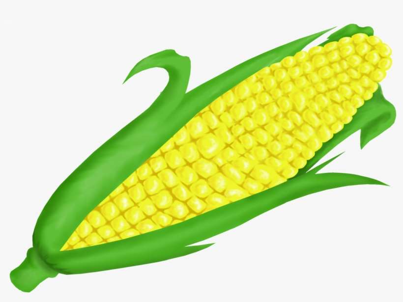 Cornfield Clipart Vegetable Field - Ear Of Corn Clip Art, transparent png download