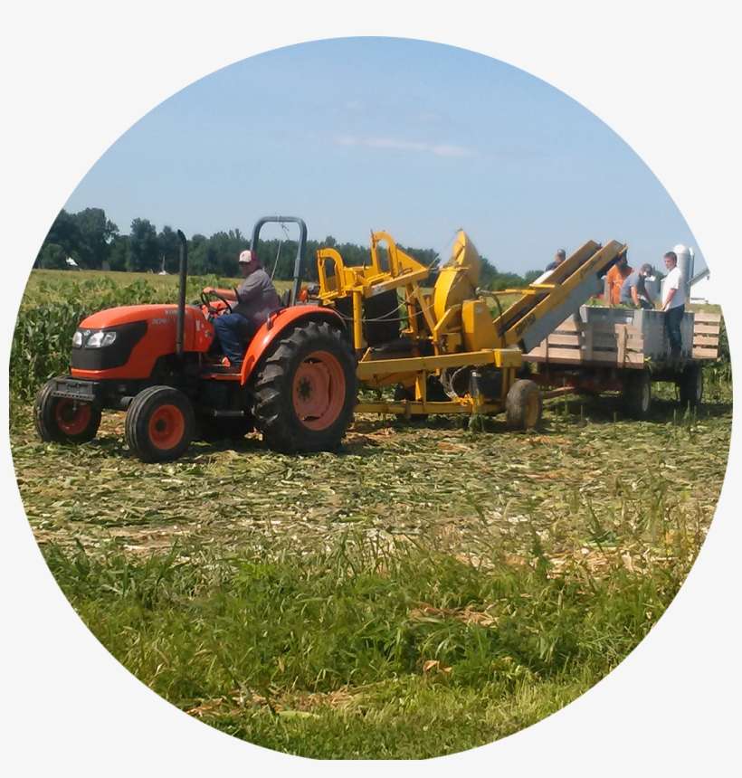 Our Sweet Corn Is Always Juicy And Fresh, And Our Pretzels - Tractor, transparent png download